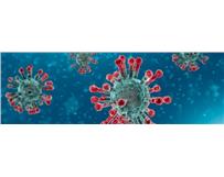Coronavirus: Não existe evidência de qualquer tipo de contaminação através da ingestão de comida